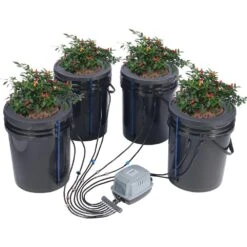 DWC Hydroponics Grow System Deep Water Culture With Top Drip 4 Buckets, With Air Pump, Air Stones And Water Level Device