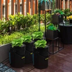 DWC Hydroponic System 5 Gal. Buckets Deep Water Culture Growing Bucket Hydroponics Grow Kit For Outdoor (4-Pack) -Vevor black vevor hydroponic systems ssspxtyx4110vw1xkv1 31 1000