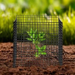 10-Pack Plant Protector From Animals 12 In.x 12 In. Plant Cage -Vevor black vevor plant tree covers qbwzcl12ychs5iv6fv0 31 1000