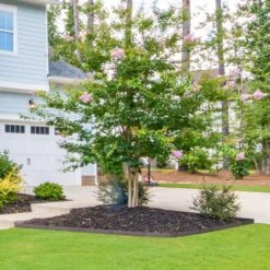 Steel Landscape Edging 5-pack Steel Garden Edging Borders 39 In. L X 4 In. H Strips Hammer-in Edging Border Metal Edging -Vevor brown vevor metal edging cppz4inch162gcvo3v0 31 1000