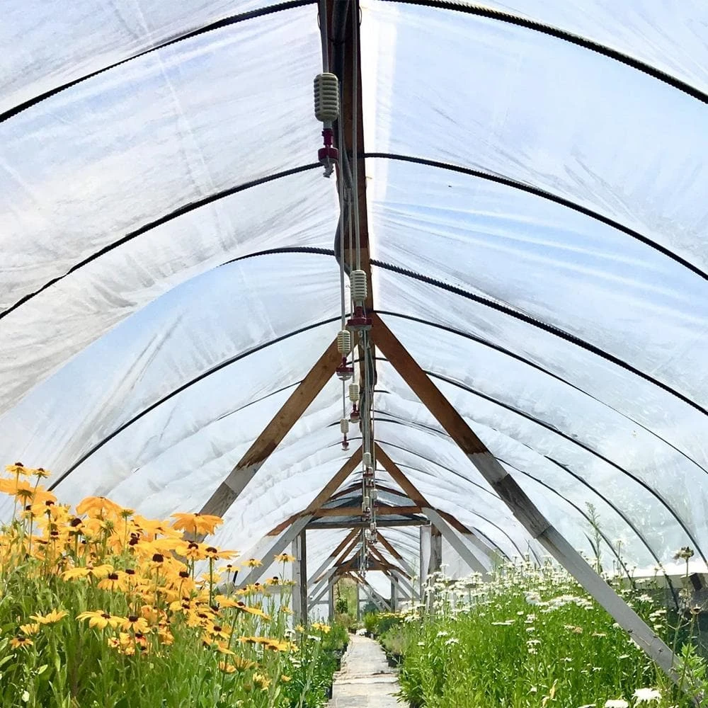 10 Ft. X 25 Ft. 6 Mil Greenhouse Film UV Resistant Superior Toughness Clear Polyethylene Film For Protective Barrier 10 10 Ft. X 25 Ft. 6 Mil Greenhouse Film UV Resistant Superior Toughness Clear Polyethylene Film For Protective Barrier - Image 8