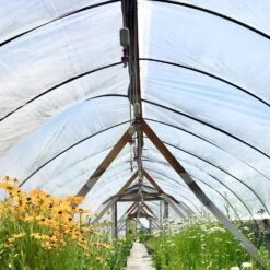 25 Ft. X 40 Ft. 6 Mil Greenhouse Film Corrosion And Tear-Resistant Clear UV Greenhouse Plastic For Landscaping Projects -Vevor clear vevor plant tree covers pewsm2540ft000001v0 31 1000