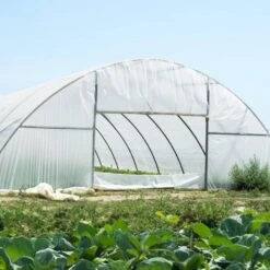 Greenhouse Plastic Sheeting 10 Ft . X 40 Ft. 6 Mil Thickness Clear Greenhouse Film Polyethylene Film 4-Year UV Resistant 17 Greenhouse Plastic Sheeting 10 Ft . X 40 Ft. 6 Mil Thickness Clear Greenhouse Film Polyethylene Film 4-Year UV Resistant -Vevor clear vevor plant tree covers tmwsm1040yct9jge8v0 31 1000