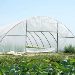 Greenhouse Plastic Sheeting 12 Ft. X 50 Ft. 6 Mil Thickness Clear Greenhouse Film Polyethylene Film 4 Year UV Resistant 17 Greenhouse Plastic Sheeting 12 Ft. X 50 Ft. 6 Mil Thickness Clear Greenhouse Film Polyethylene Film 4 Year UV Resistant -Vevor clear vevor plant tree covers tmwsm1250yct3oy3cv0 31 1000