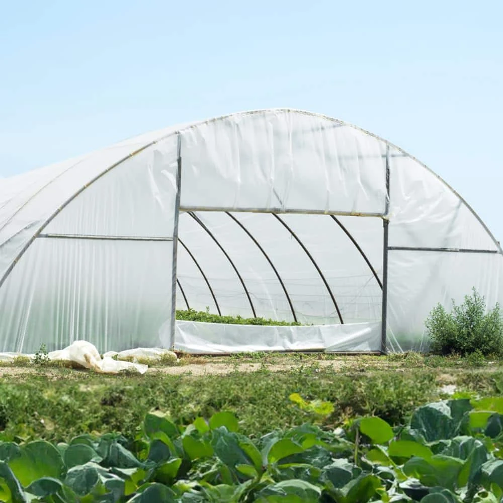 Greenhouse Plastic Sheeting 12 Ft. X 50 Ft. 6 Mil Thickness Clear Greenhouse Film Polyethylene Film 4 Year UV Resistant 10 Greenhouse Plastic Sheeting 12 Ft. X 50 Ft. 6 Mil Thickness Clear Greenhouse Film Polyethylene Film 4 Year UV Resistant - Image 8