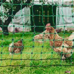 Electric Fence Netting 54.33 In. H X 100 In. L Polywire Fencing With Posts Double-Spiked Stakes Utility Portable Mesh -Vevor green vevor garden fencing xxjqwlw48in1gp4nkv9 31 1000