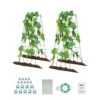 Cucumber Trellis For Climbing Plants, 39 In. X 32 In. Foldable Cucumber Trellis Set With Twist Ties, 2025 Upgrade -Vevor green vevor tomato cages hgpjtxczaxj3jsuxxv0 64 1000