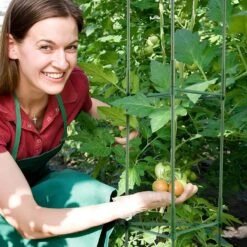 6-Packs Tomato Cages For Garden, 48 In.Tomato Trellis Plant Stakes Support, Stackable Tall Plant Support Cage,for Garden -Vevor green vevor tomato cages kzdfqzzzcj480ig42v0 31 1000