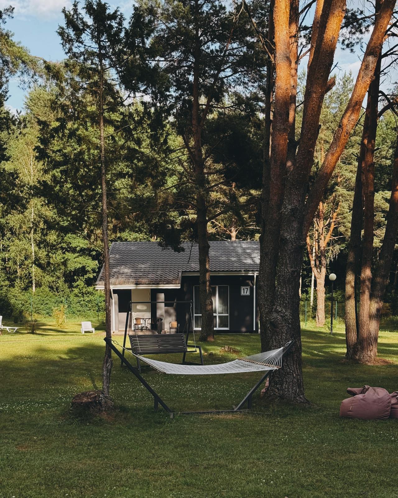 Vevor -Vevor pexels luchik 34786468