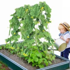 Cucumber Trellis For Climbing Plants 35 In. X 55 In. Foldable Cucumber Trellis Set With Plant Clips Outdoor 2025 Upgrade -Vevor sliver vevor tomato cages hgpjtxczaxj3jgfluv0 31 1000