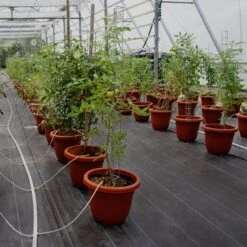 4 Ft. X 100 Ft. Black Weed Barrier Fabric 5.8 Oz. Dual Layer Degradable Heavy-Duty Weed Barrier Landscape Fabric -Vevor vevor landscape fabric fcby41005 8oznqayv0 31 1000