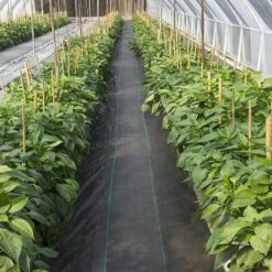 4 Ft. X 300 Ft. Weed Barrier 5.8 Oz. Landscape Fabric Heavy-Duty Woven Grass Control Geotextile For Garden, Black -Vevor vevor landscape fabric fcby43005 8ozwk6gv0 31 1000