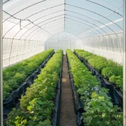 10 Mil Plastic Sheeting Heavy Duty 10 X 100 Ft. Thick Plastic Sheeting Roll Drop Cloth Painters Tarp Weed Barrier -Vevor vevor landscape fabric slm10ft100ft8m2u2v0 31 1000