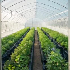 3 X 50 Ft. Plastic Sheeting Heavy Duty, 4 Mil Thick Plastic Sheeting Roll, Plastic Drop Cloth Painters Tarp -Vevor vevor landscape fabric slm3ft50ft4mjcmkqv0 31 1000